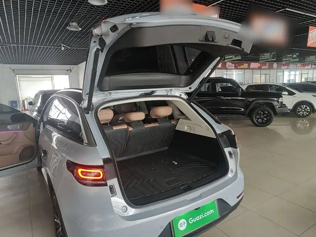 Leapmotor Leapmotor C11 — миниатюра 19