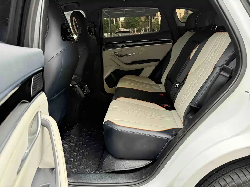 BYD PLUS New Energy — миниатюра 11