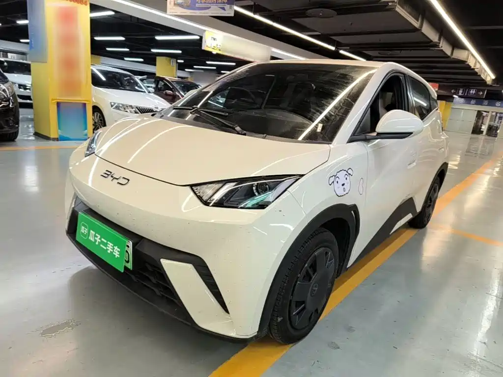 BYD Seagull 2024 305km