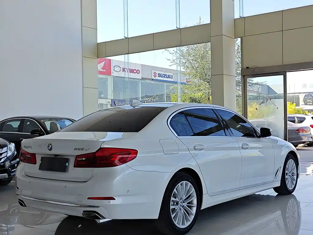 BMW 5 Series 5 2019 525Li Luxury