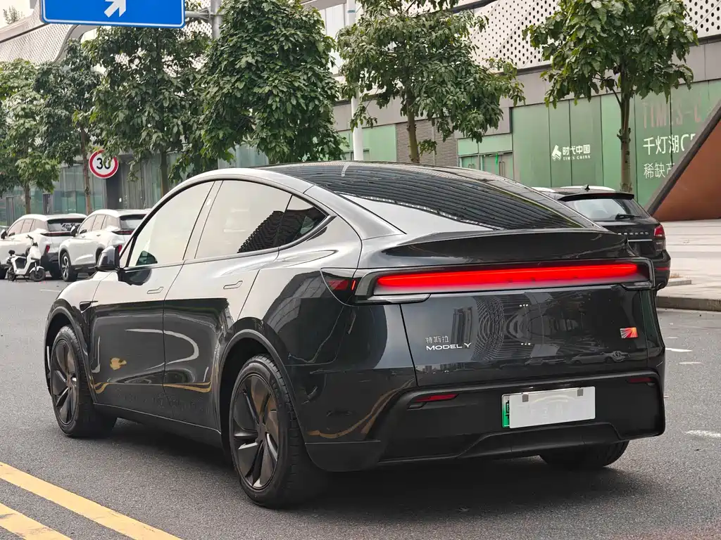 Tesla Model Y — миниатюра 6
