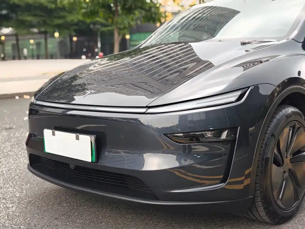 Tesla Model Y — миниатюра 23