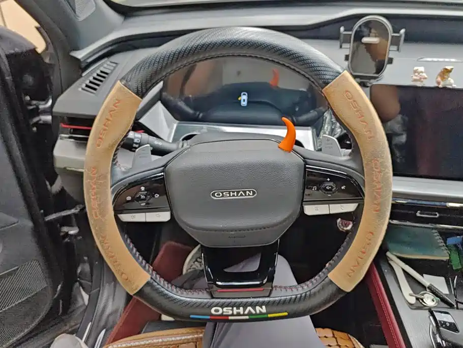 Oshan Oushang Z6 — миниатюра 15