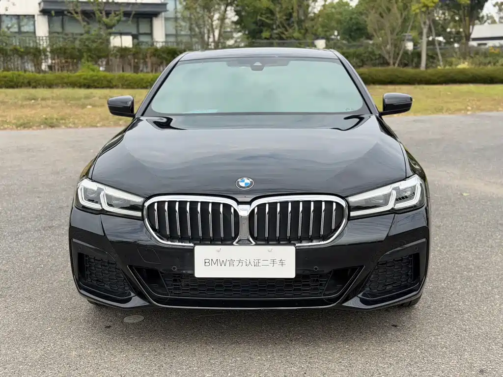 BMW 5 Series — миниатюра 2