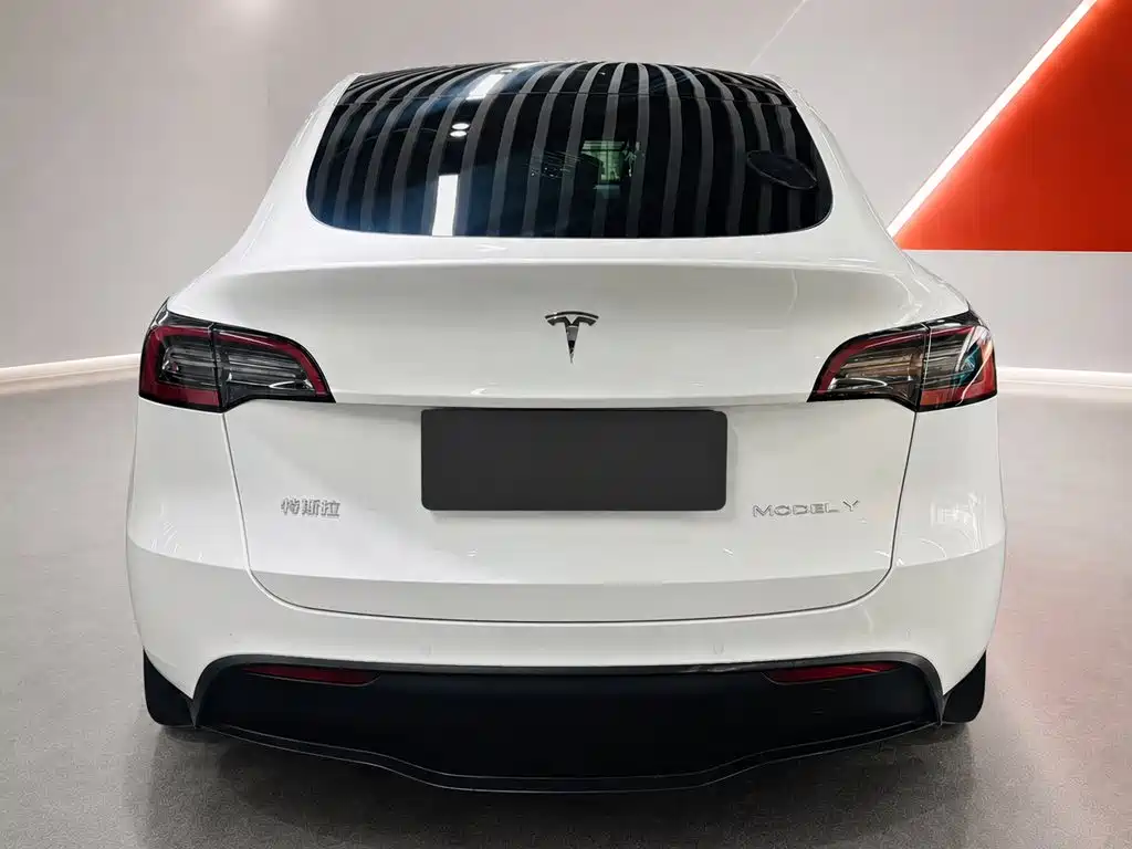 Tesla Model Y — миниатюра 5