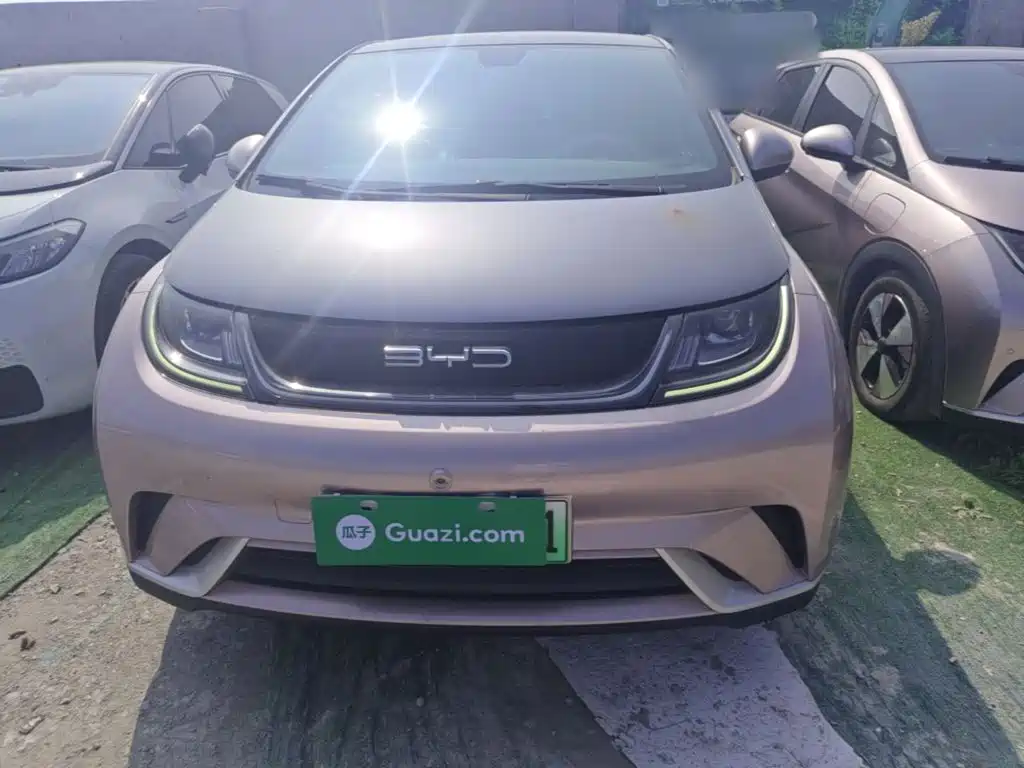 BYD Dolphin — миниатюра 3