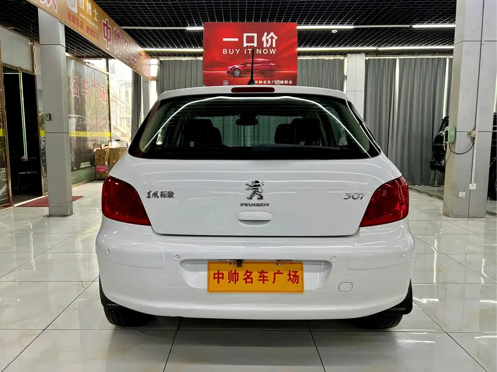 Peugeot 307 — миниатюра 5
