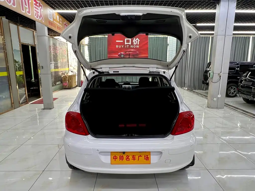 Peugeot 307 — миниатюра 8