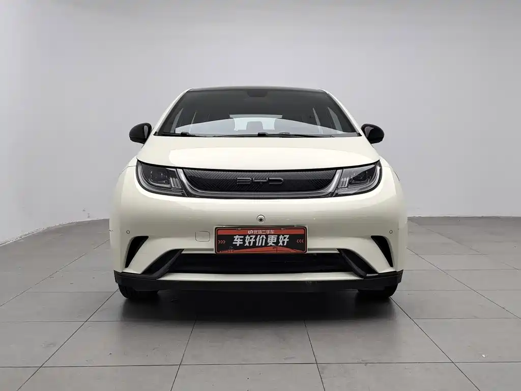 BYD Dolphin — миниатюра 3
