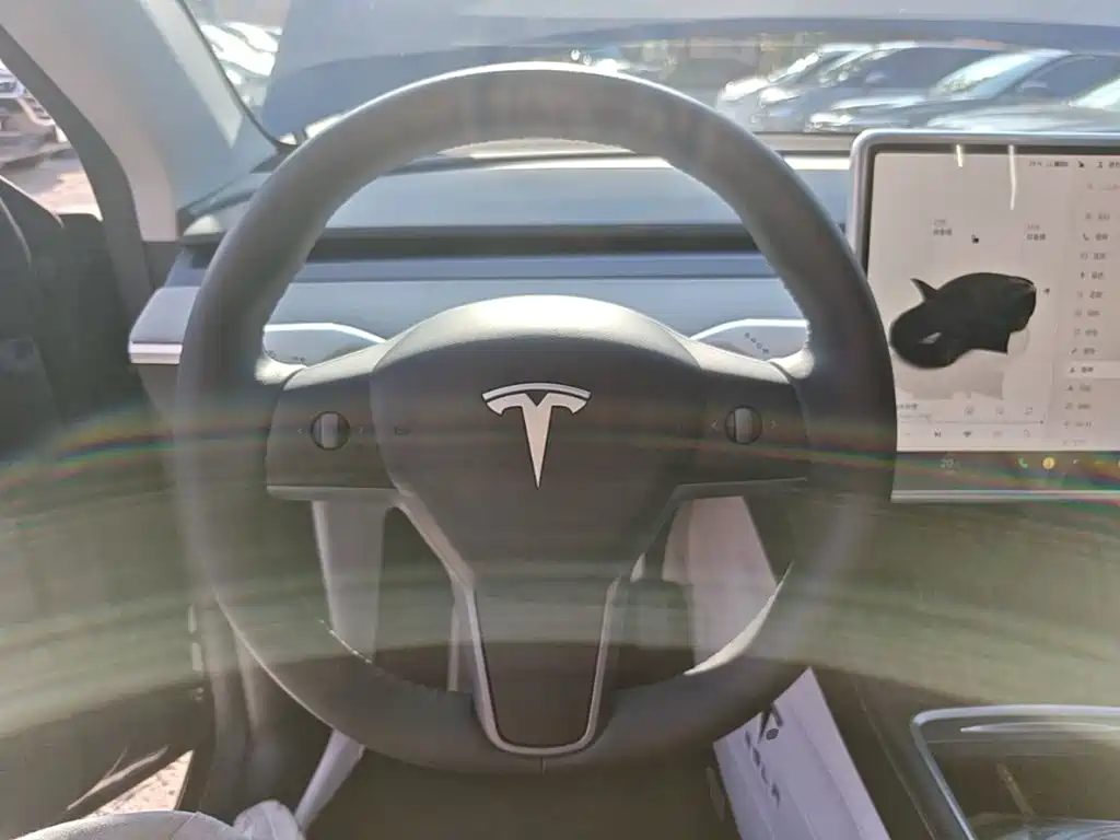 Tesla Model Y — миниатюра 11