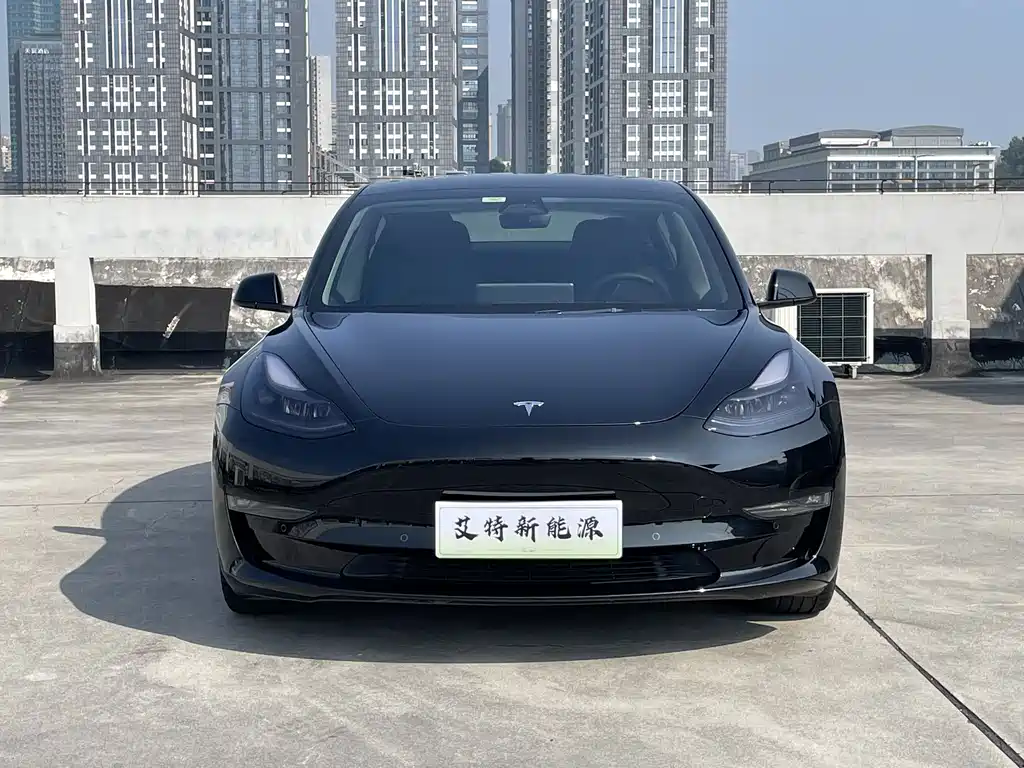 Tesla Model 3 — миниатюра 3