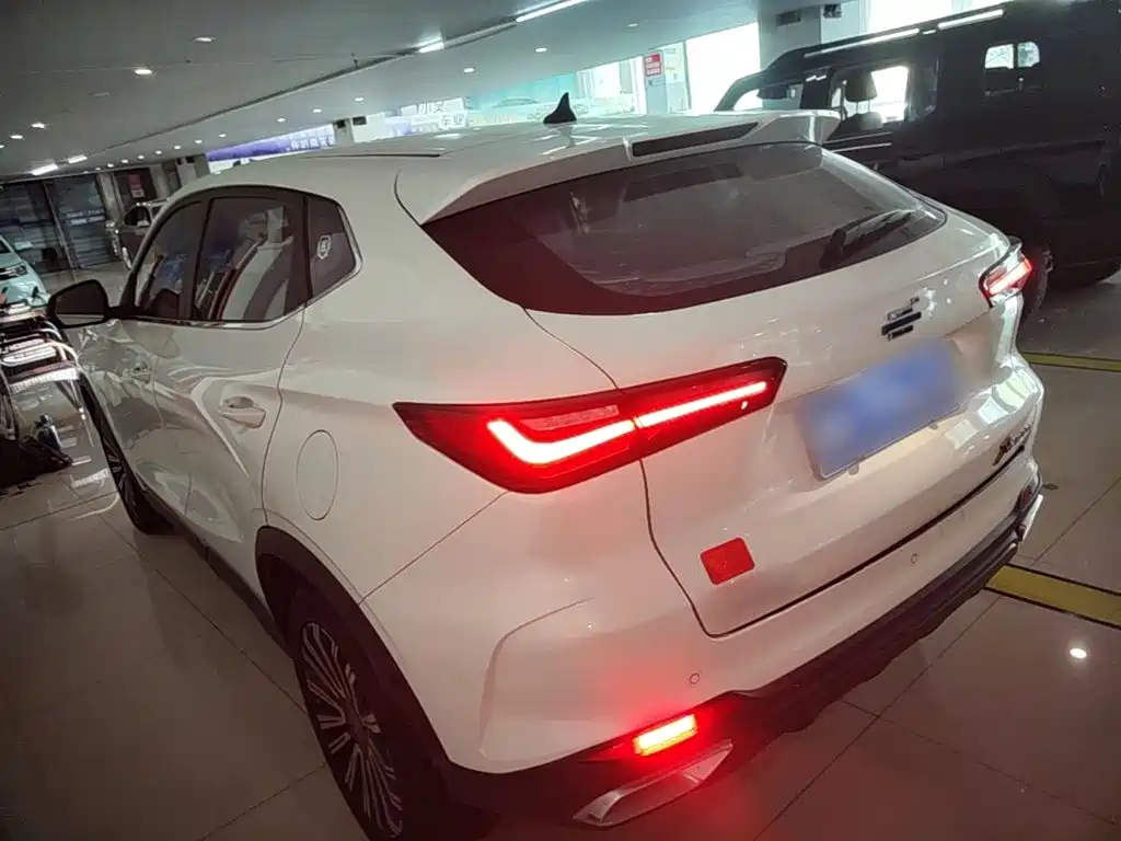 Oshan Oushang X5 — миниатюра 5