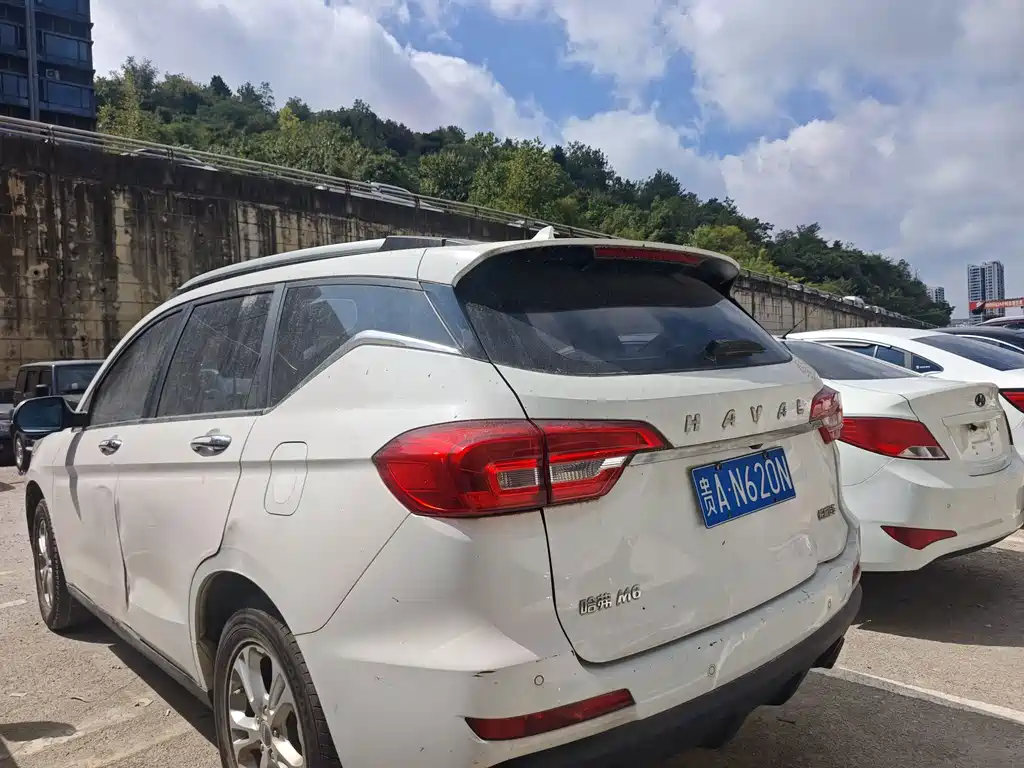 Haval M6 — миниатюра 8