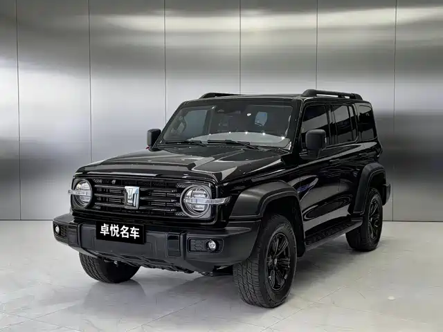 2024 TANK 300