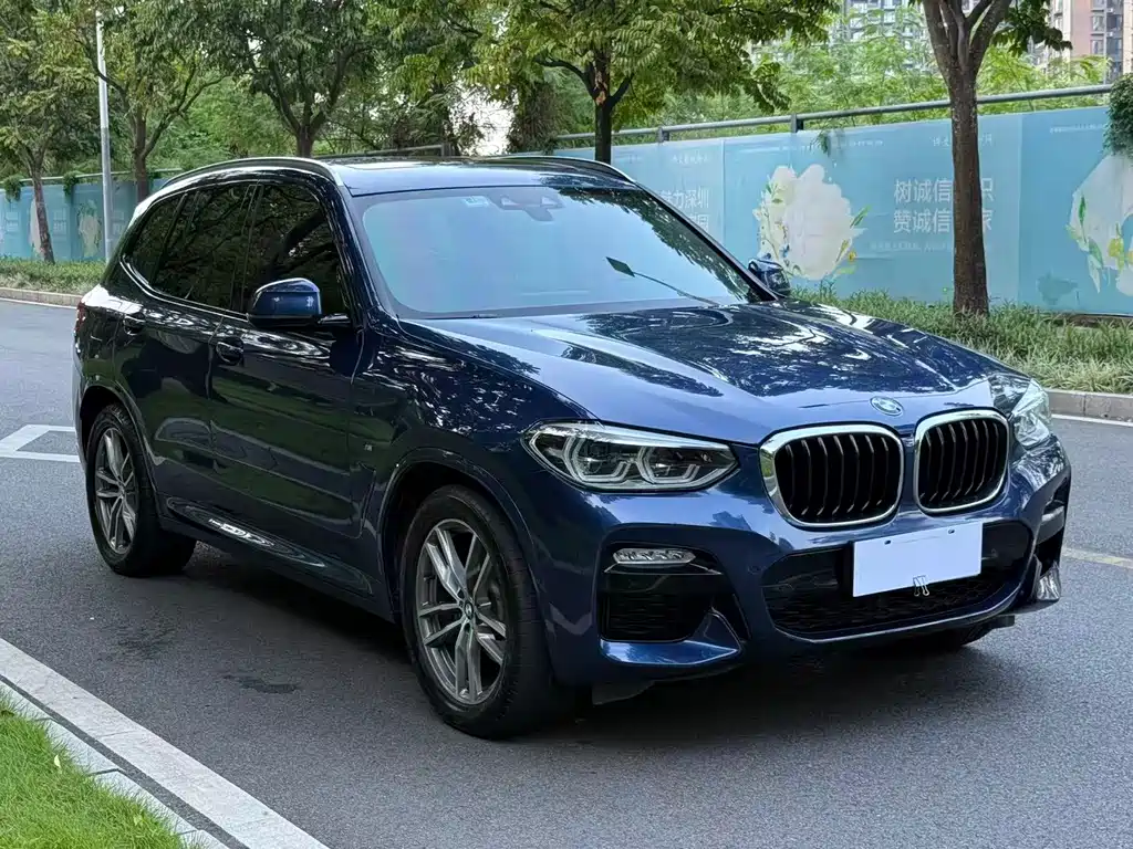 BMW X3 — миниатюра 3