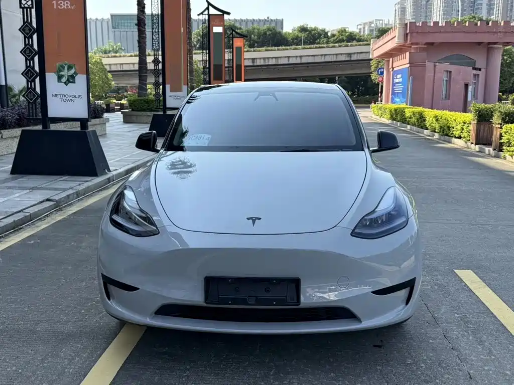 Tesla Model Y — миниатюра 2