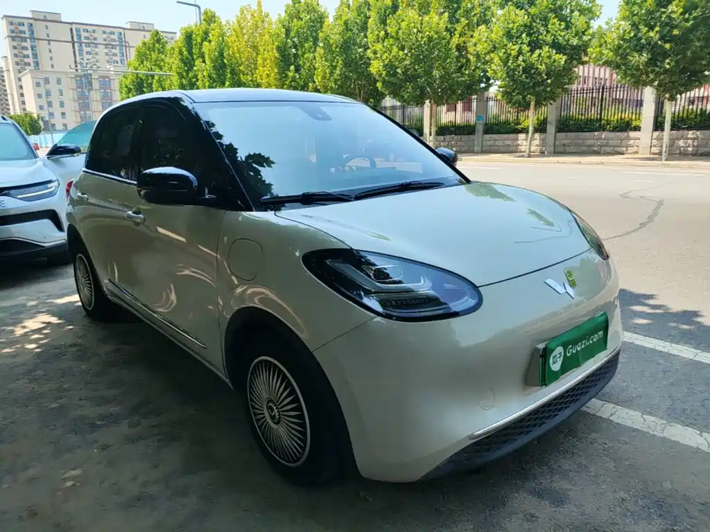 Wuling Binguo 2023 203km