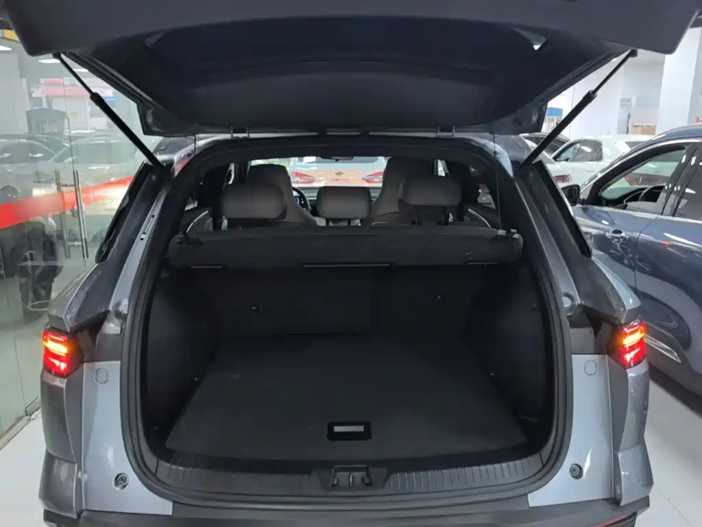 BYD Pro New Energy — миниатюра 19