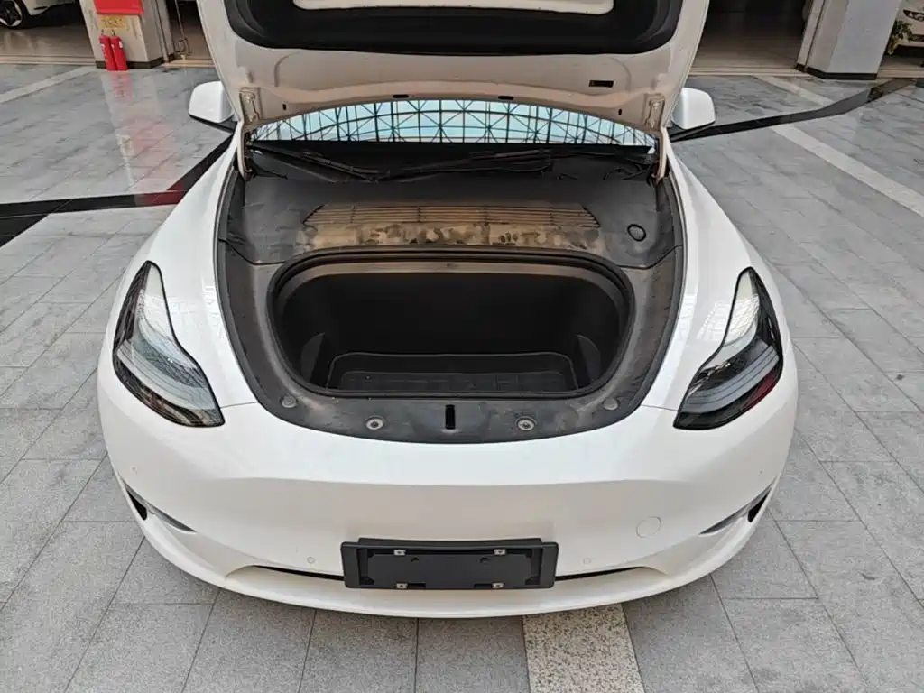 Tesla Model Y — миниатюра 20