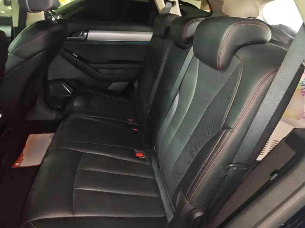 BYD Tang New Energy — миниатюра 17