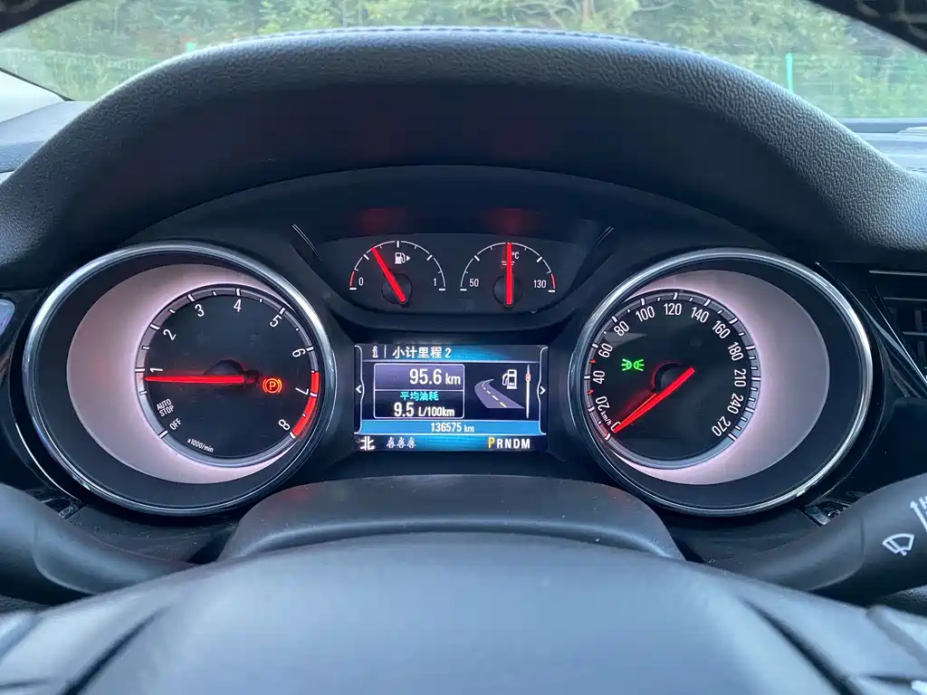 Buick Regal — миниатюра 11