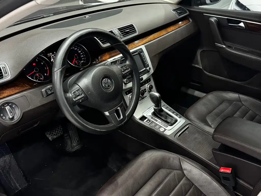 Volkswagen Magotan (Import) — миниатюра 9