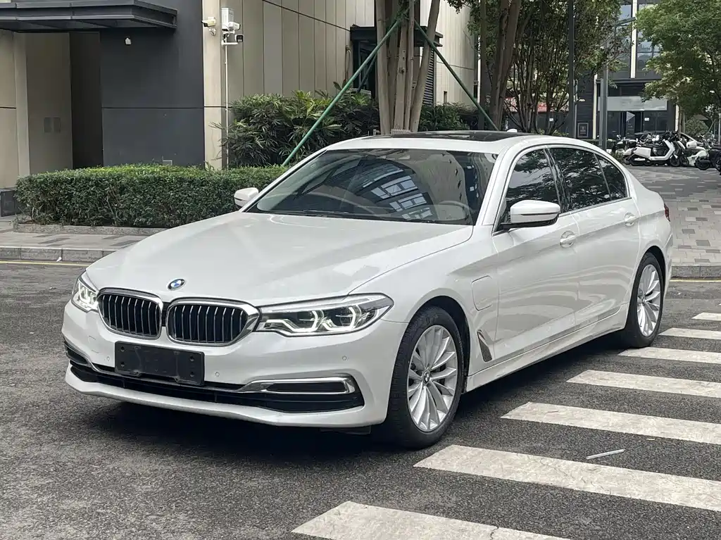 BMW 5 Series New Energy 2020