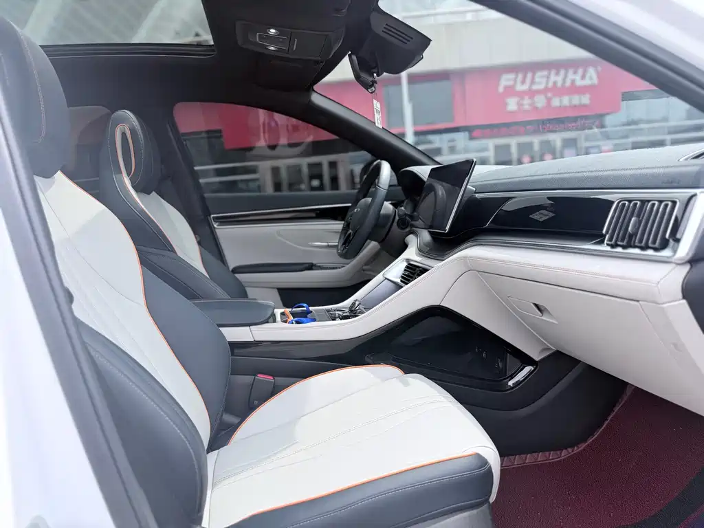 BYD PLUS New Energy — миниатюра 12