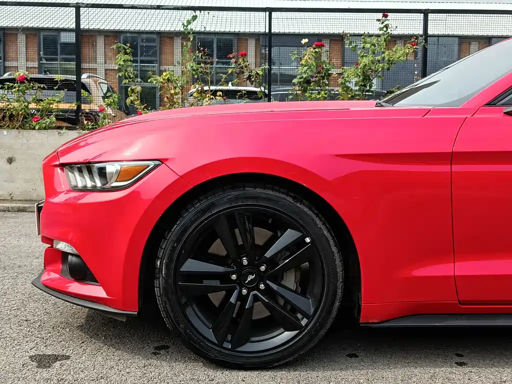 Ford Mustang — миниатюра 5