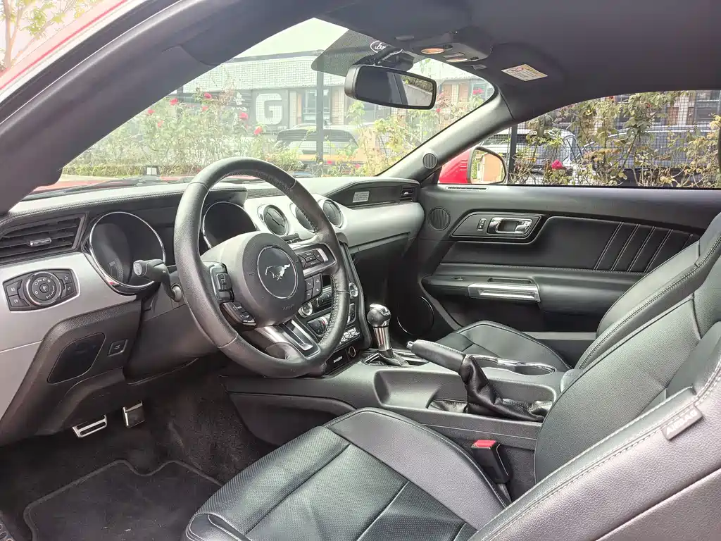Ford Mustang — миниатюра 13