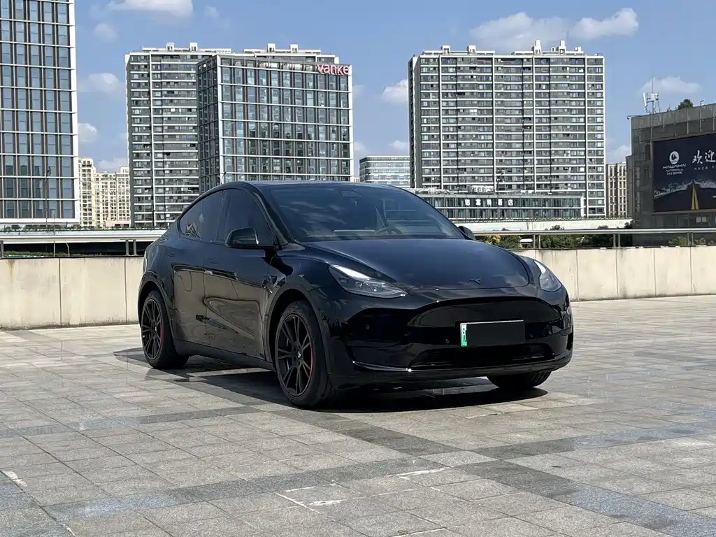 Tesla Model Y — миниатюра 3