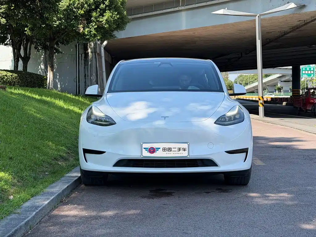 Tesla Model Y — миниатюра 2