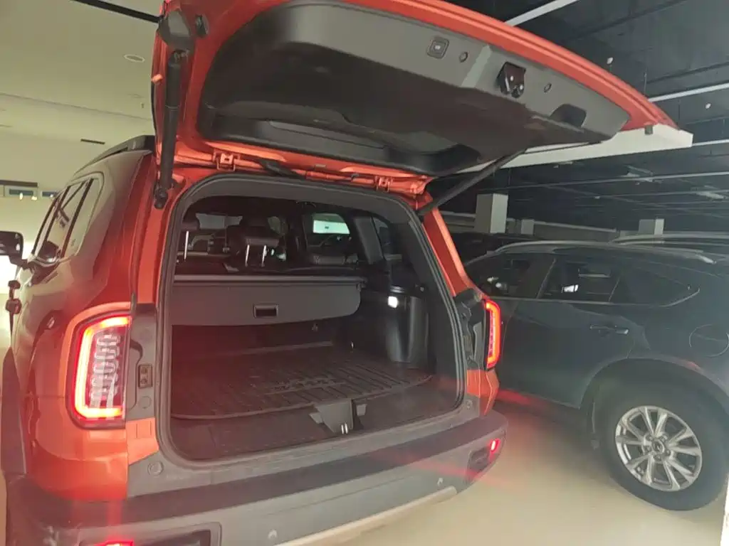 Haval Big Dog — миниатюра 19