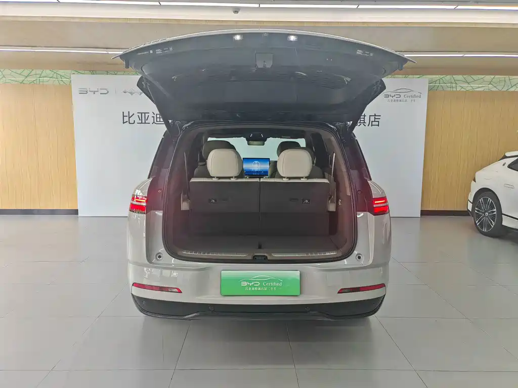 Denza Denza N8L — миниатюра 7
