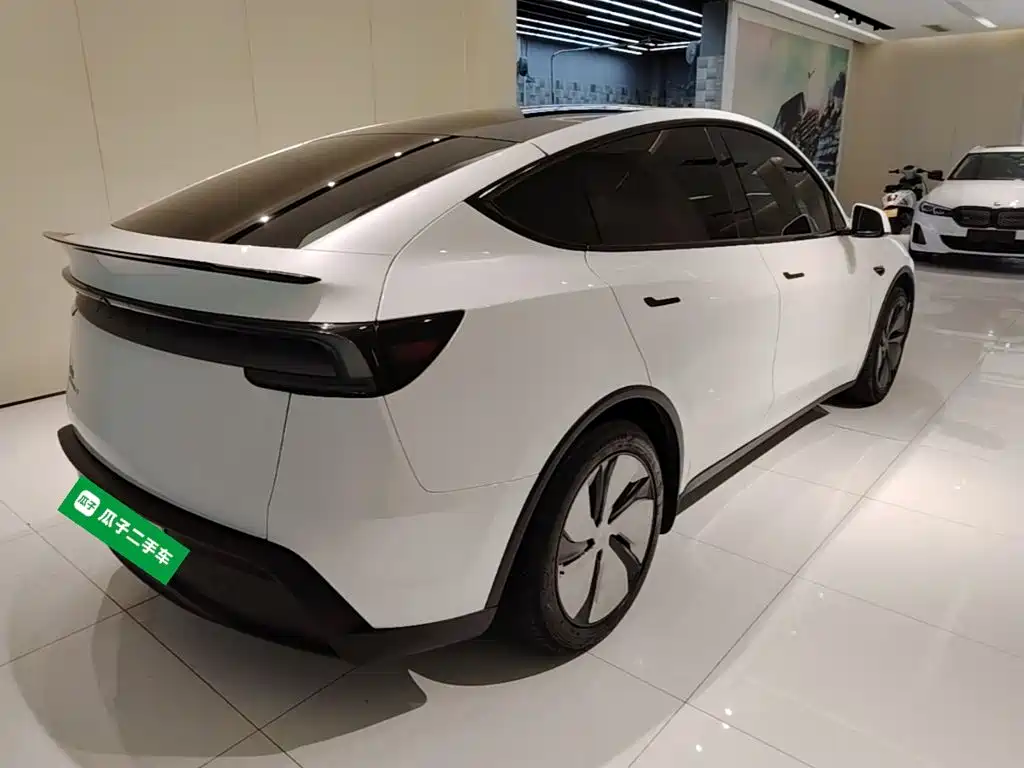 Tesla Model Y — миниатюра 7