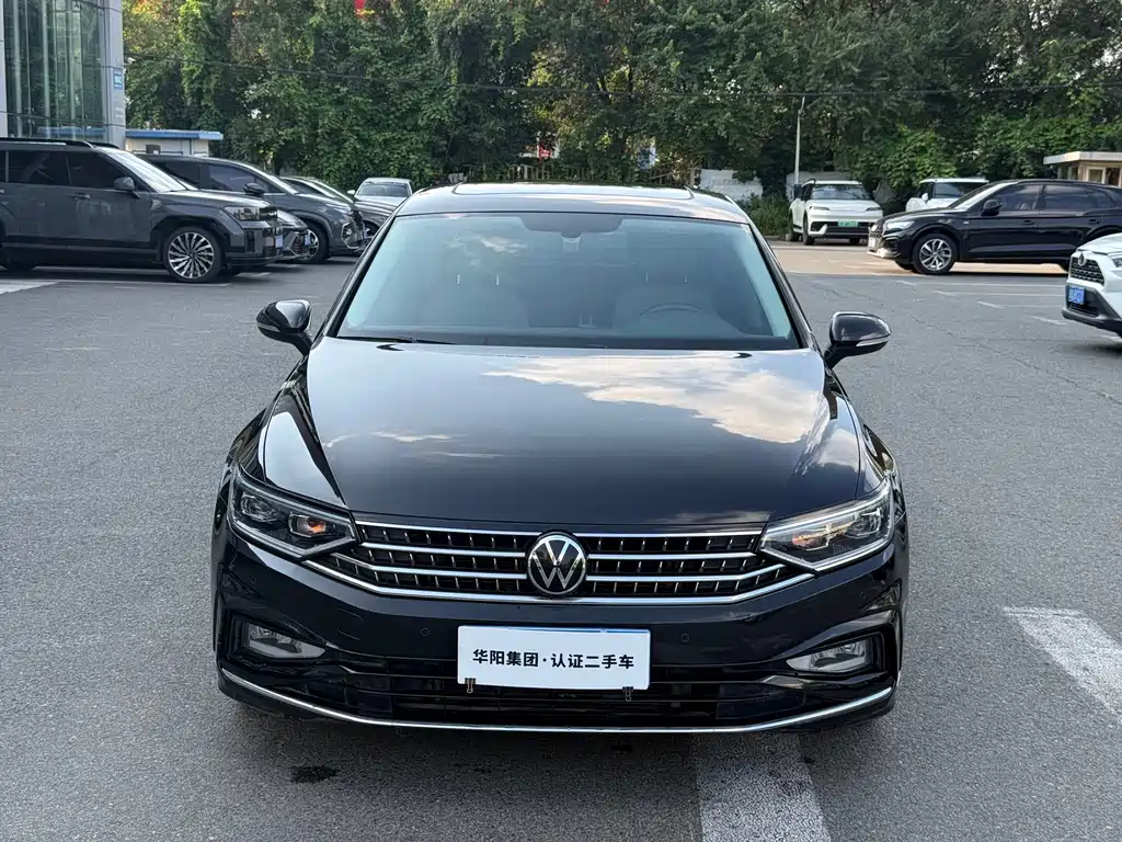 Volkswagen Magotan — миниатюра 2