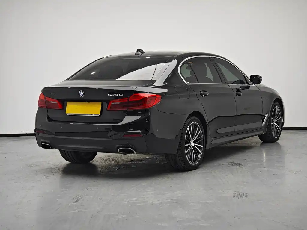 BMW 5 Series — миниатюра 5
