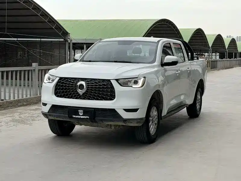 Купить Great Wall Pao