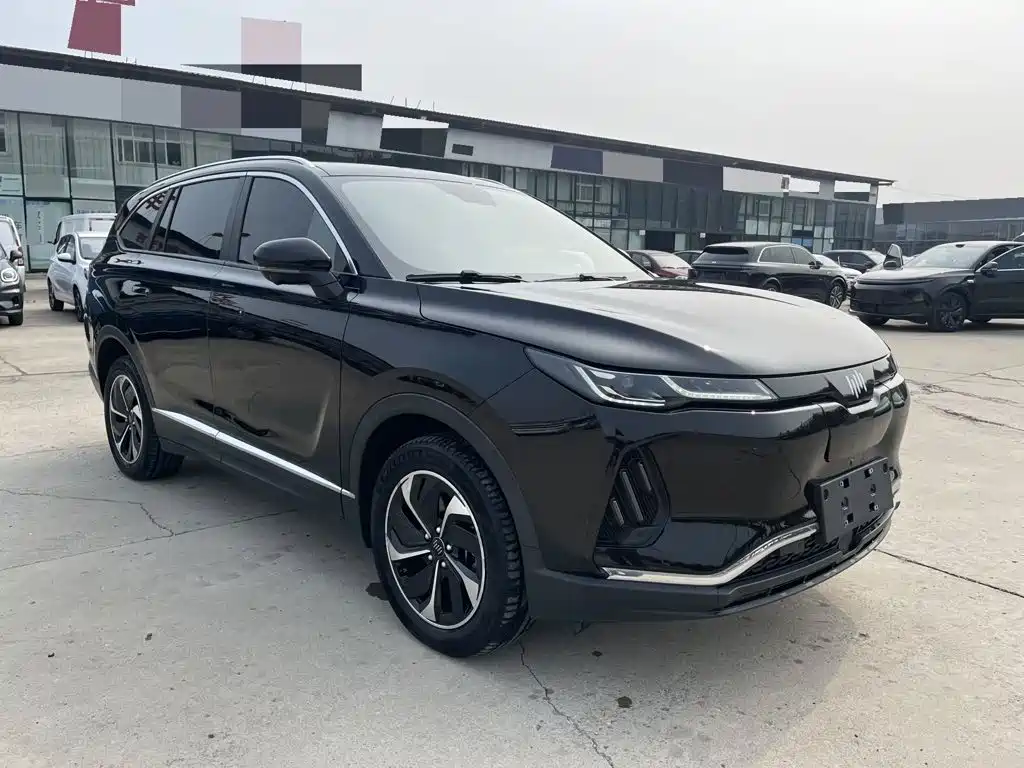 WM Motor EX6 — миниатюра 3