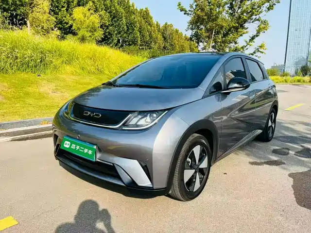 BYD Dolphin
