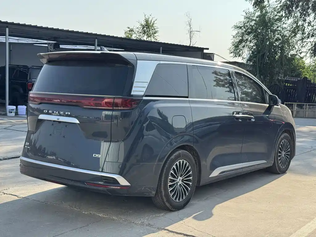 Denza Denza D9 — миниатюра 10