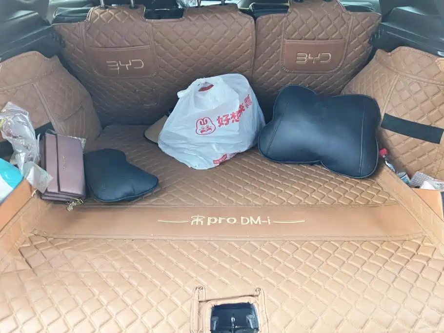 BYD Pro New Energy — миниатюра 4