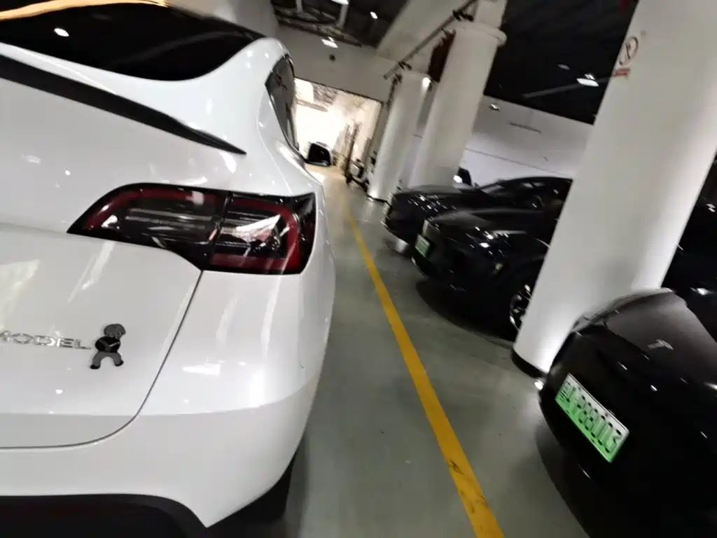 Tesla Model Y — миниатюра 8