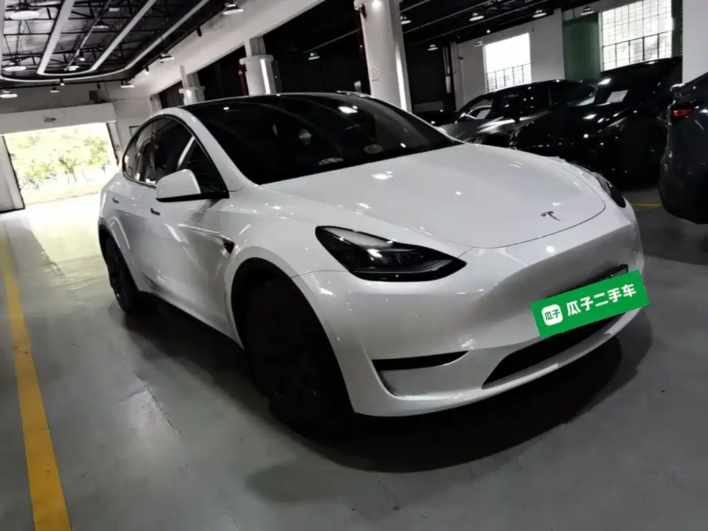 Tesla Model Y — миниатюра 4