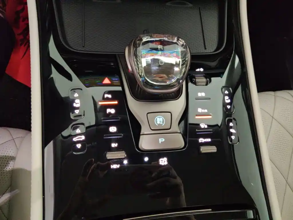 Denza Denza D9 — миниатюра 14
