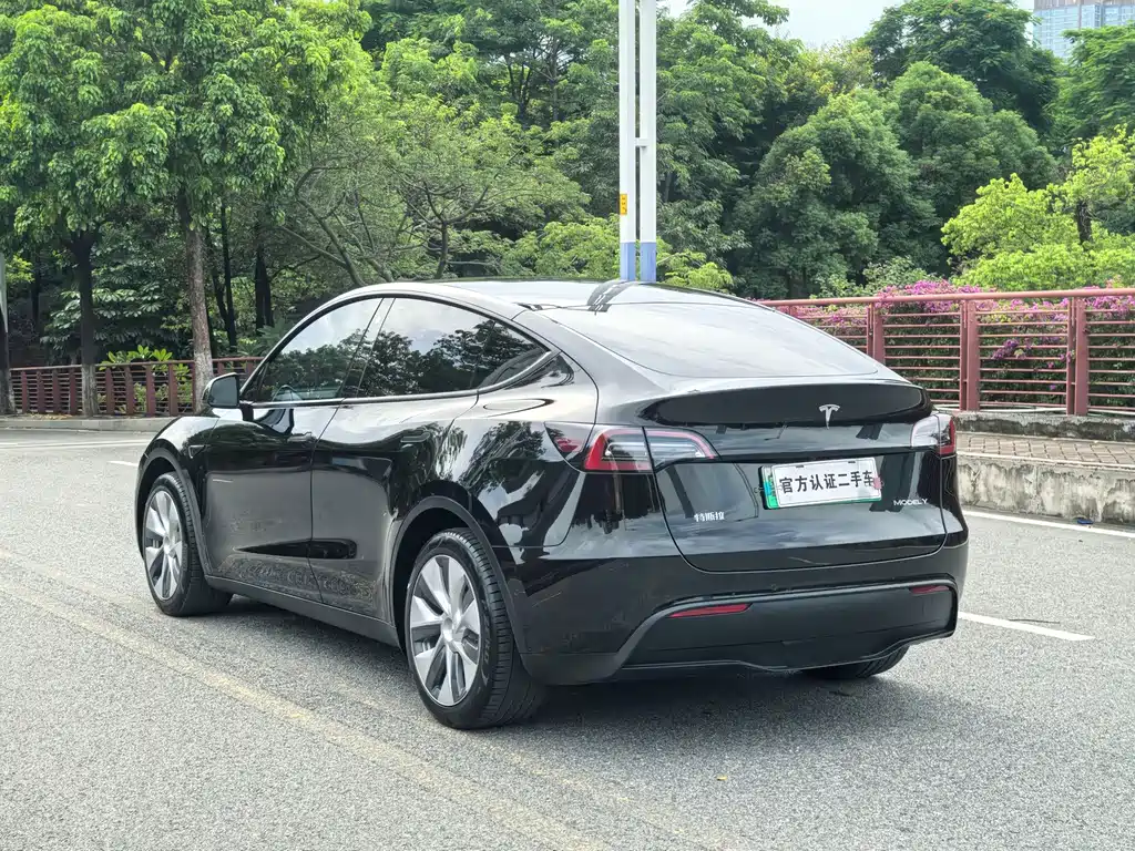 Tesla Model Y — миниатюра 16