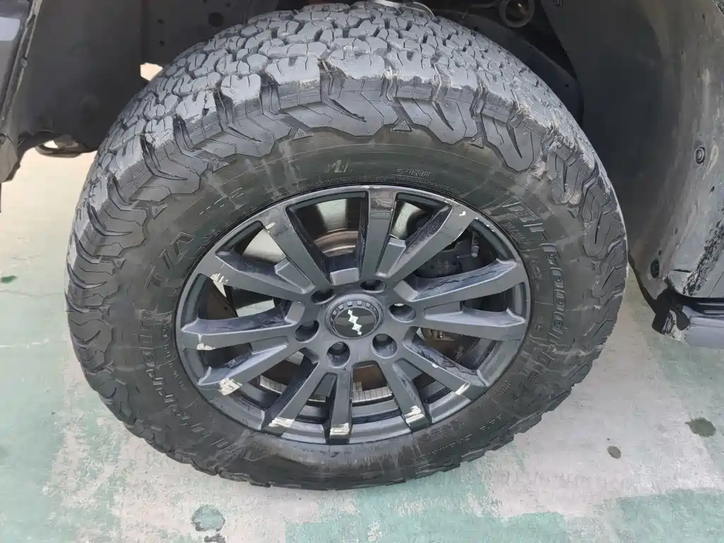 Fang Cheng Bao Leopard 5 — миниатюра 8