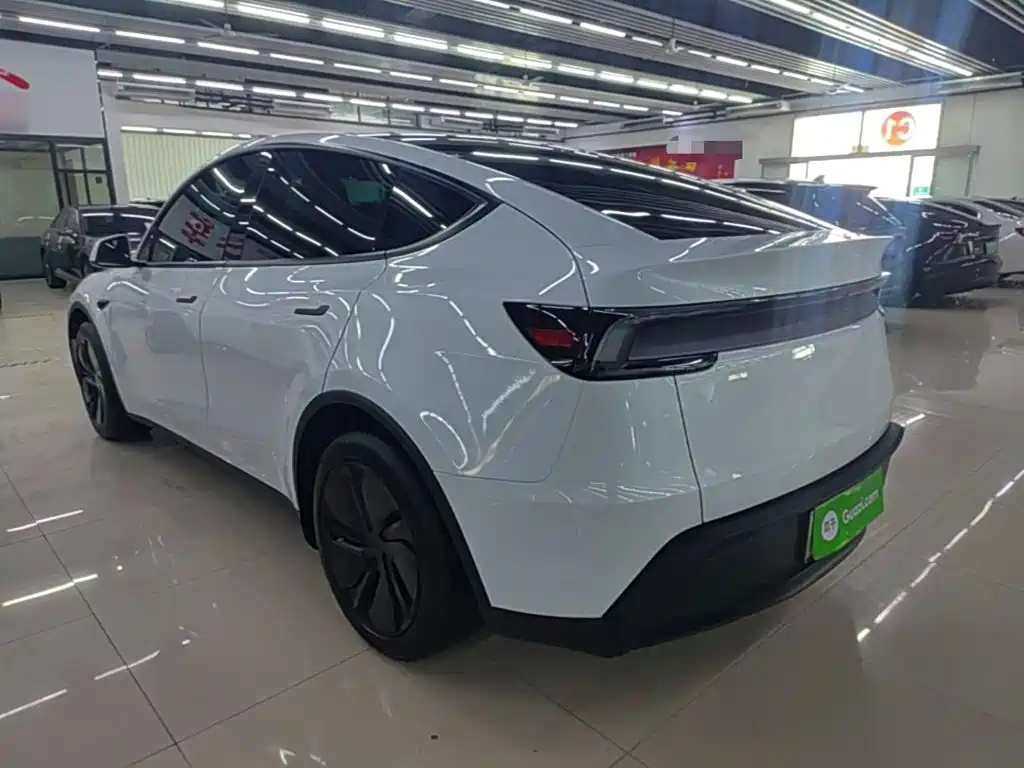 Tesla Model Y — миниатюра 5