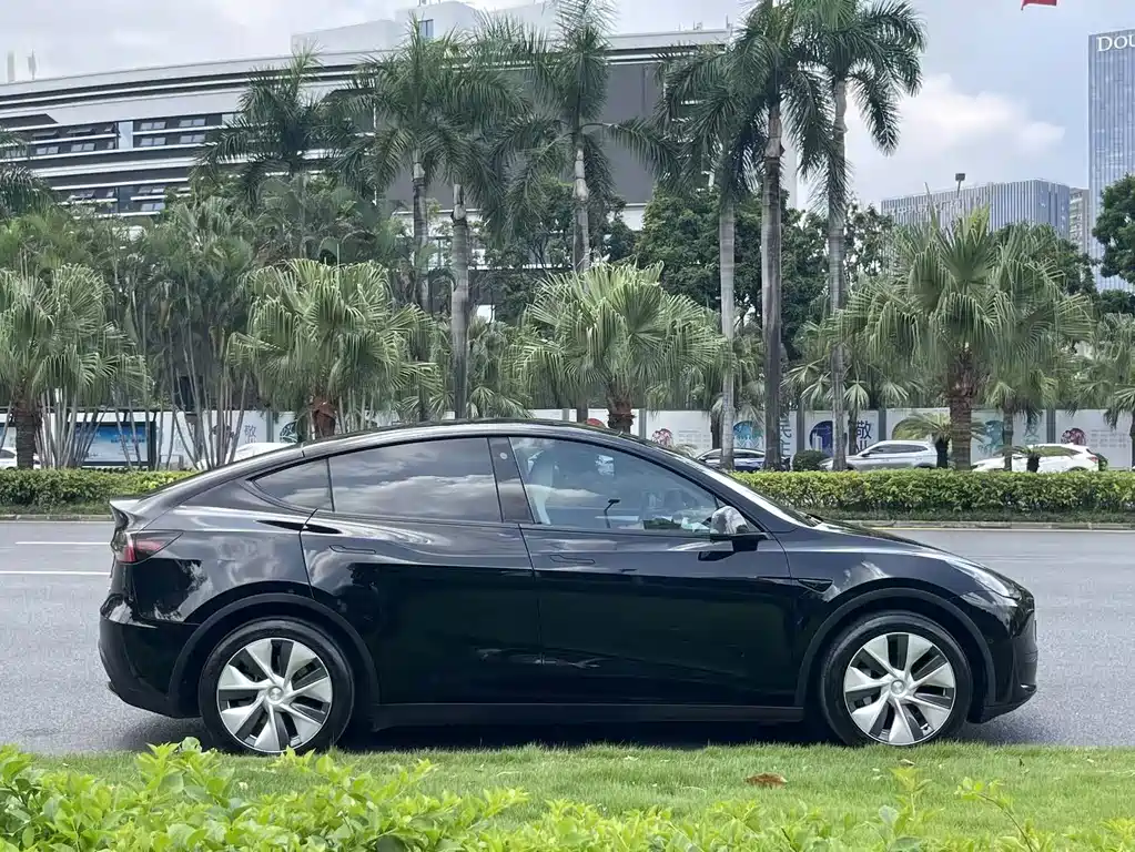 Tesla Model Y — миниатюра 7