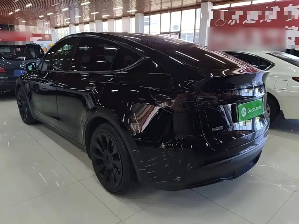 Tesla Model Y — миниатюра 5